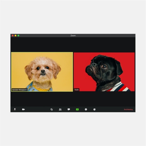 Є питання. Zoom, Skype й інші месенджери: як увічливо повідомити, що не хочеш спілкуватися?
— Кар'єра на Wonderzine